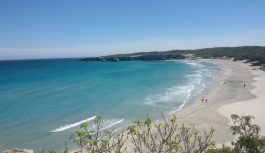 Vacanze in Salento in Appartamento