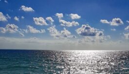 ESTATE 2023 | Calabria (Nicotera)