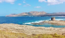 ESTATE 2023 | SARDEGNA (Stintino)